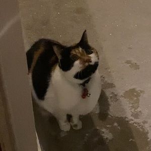 Meet your Posher, Alexandra